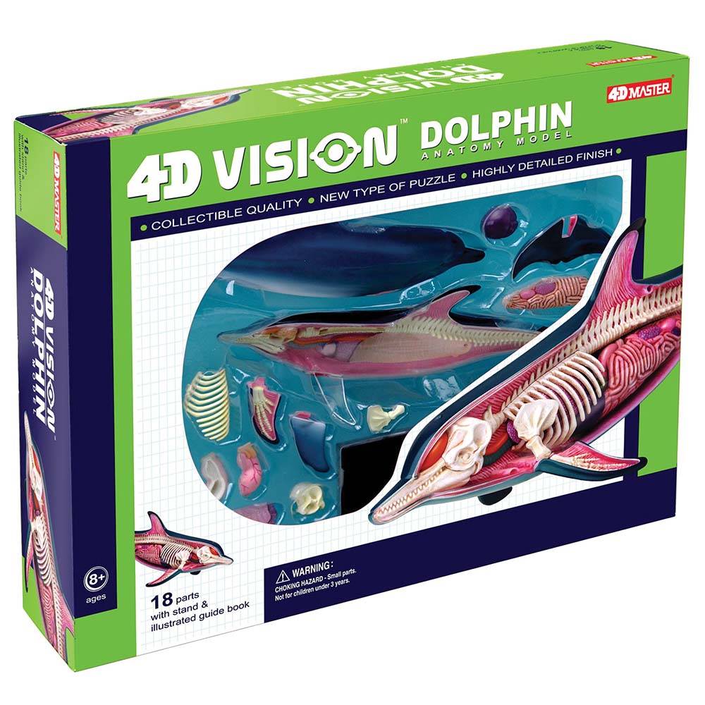 26103-dolphin-gallery-1.jpg Konstruktorius Delfino anatomija 37cm