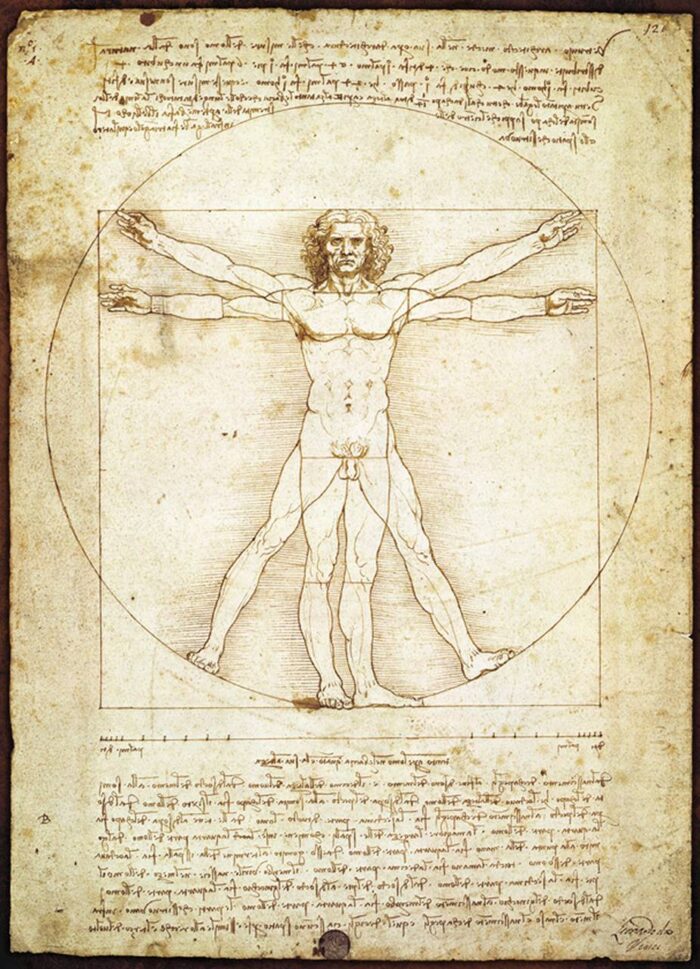 Dėlionė "Vitruvijaus žmogus" Leonardo Da Vinci - Image 3