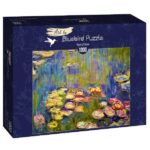 Dėlionė "Nymphéas - Claude Monet" 1000d.