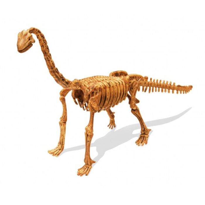 Archeologo rinkinys ,,Išsikask dinozaurą du kartus''. brachiosaurus - Image 2