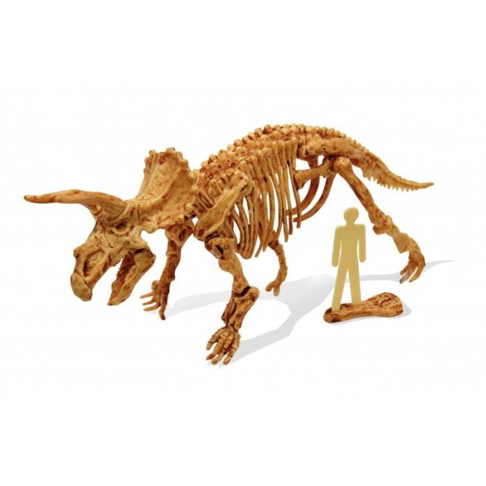 Archeologo rinkinys ,,Išsikask dinozaurą du kartus''. triceratops - Image 2
