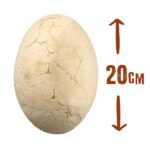 Iškask MEGA dinozaurą iš kiaušinio 20cm - Image 3