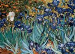 Dėlionė Irisai Vincent Van Gogh 1000 - Image 2