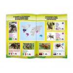 Tarantulas valdomas radijo bangomis 7,5cm - Image 2