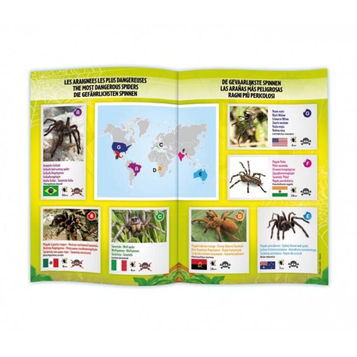 Tarantulas valdomas radijo bangomis 7,5cm - Image 2