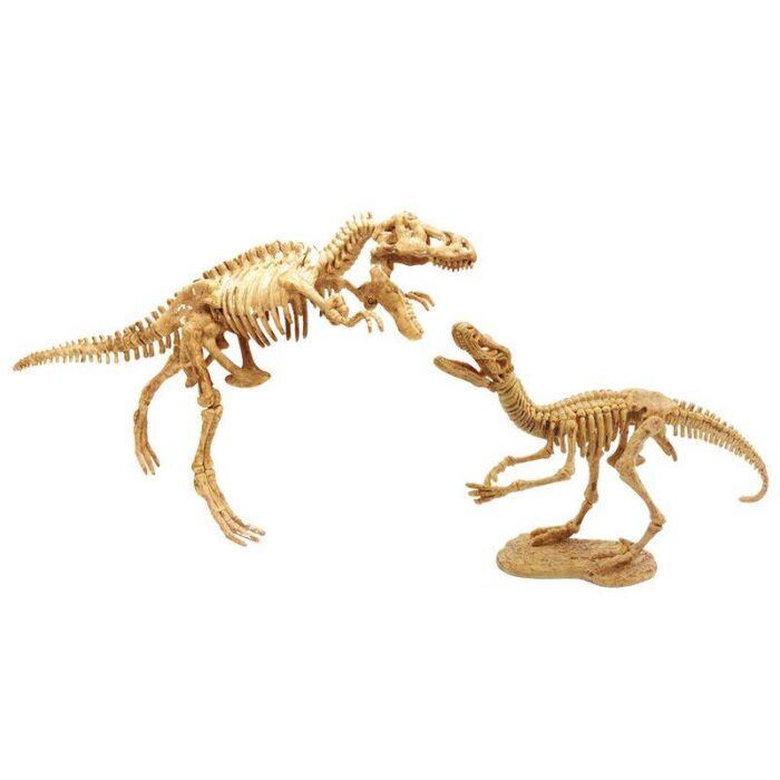 Archeologo rinkinys - iškask du skirtingus dinozaurus - Image 3