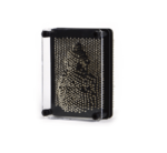 Metalinis Pin Art (Pin Head) 10x12cm