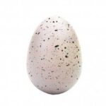 Augantis dinozauras kiaušinyje 12cm - Image 2