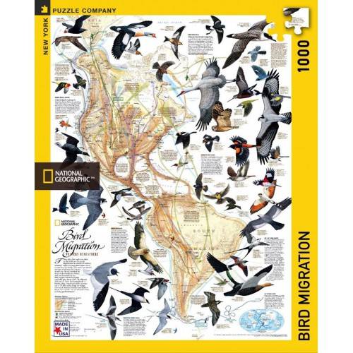 p2_full(1)-500x500 DĖLIONĖ "PAUKŠČIŲ MIGRACIJA" 1000 DETALIŲ - Image 1