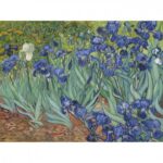 DĖLIONĖ "VINCENT VAN GOGH, IRISAI 1889", 2000 DETALIŲ - Image 2