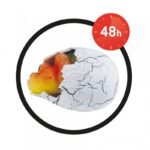 Augantis dinozauro kiaušinis (6 rūšys) - Image 4