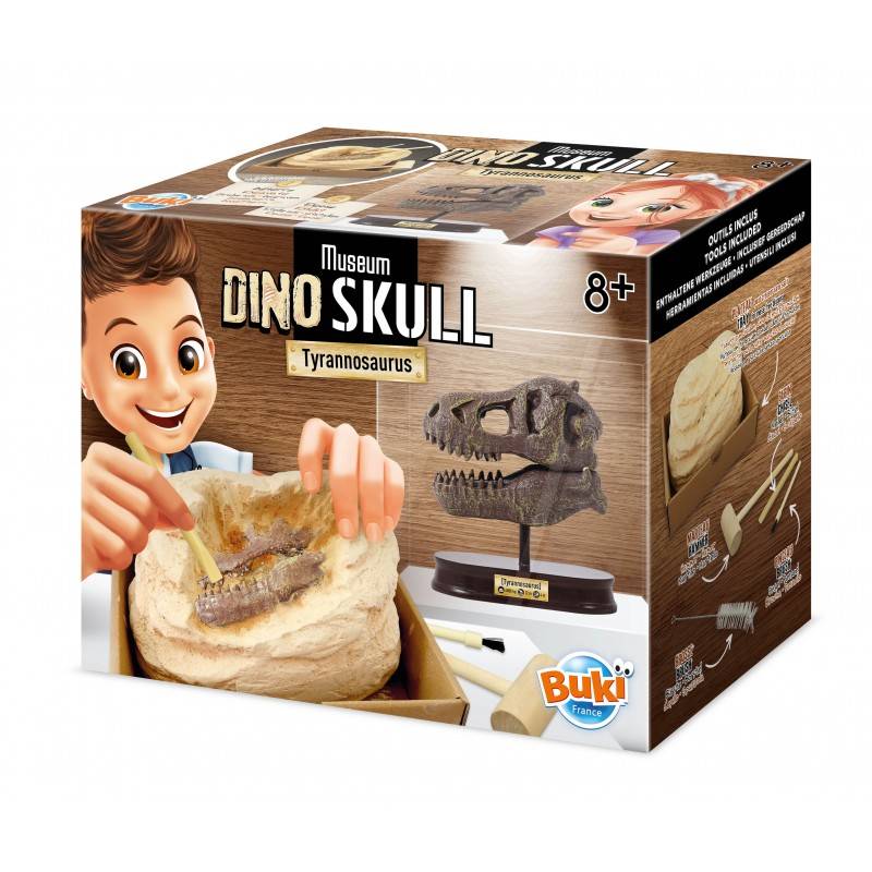 3700802104872 Rinkinys tyrinėjimui Iškask dinozauro T-Rex kaukolę 12cm