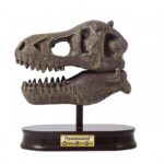 Rinkinys tyrinėjimui Iškask dinozauro T-Rex kaukolę 12cm - Image 2