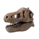 Rinkinys tyrinėjimui Iškask dinozauro T-Rex kaukolę 12cm - Image 4