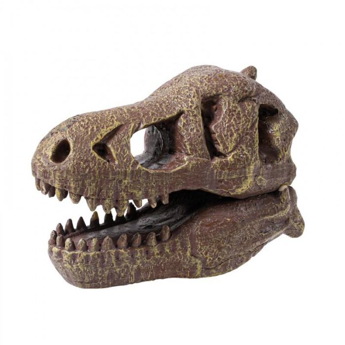 Rinkinys tyrinėjimui Iškask dinozauro T-Rex kaukolę 12cm - Image 4