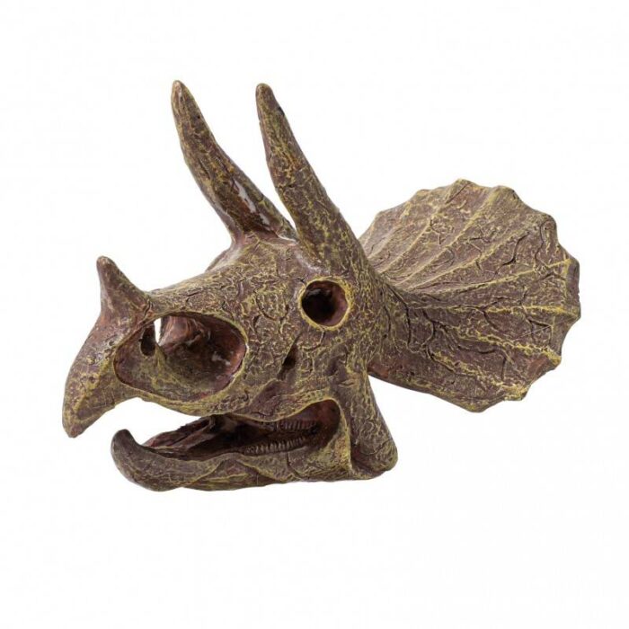 Rinkinys tyrinėjimui "Iškask dinozauro Triceratops kaukolę" - Image 4