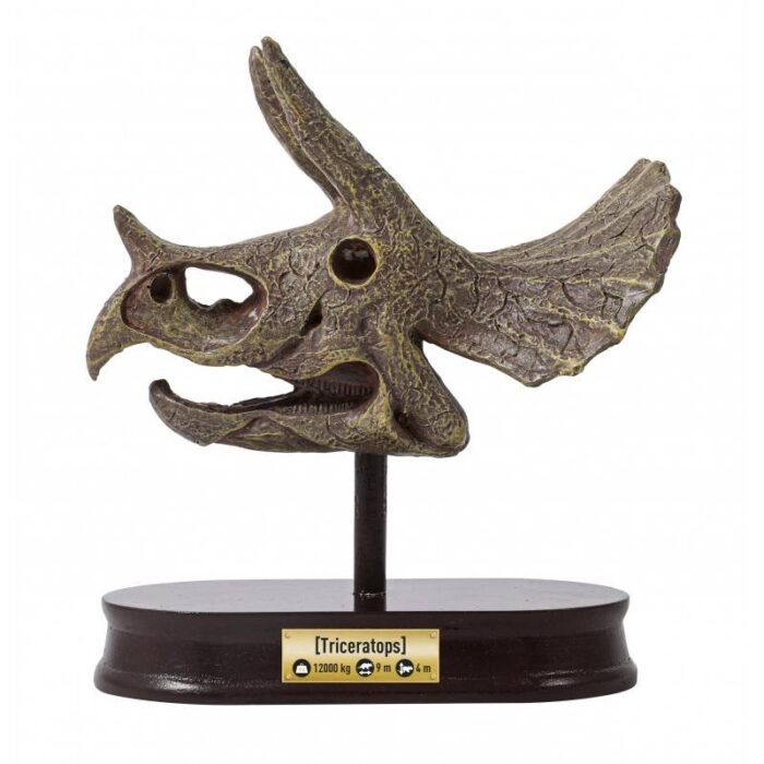 Rinkinys tyrinėjimui "Iškask dinozauro Triceratops kaukolę" - Image 2