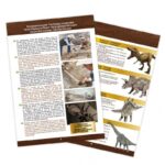 Rinkinys tyrinėjimui "Iškask dinozauro Triceratops kaukolę" - Image 5