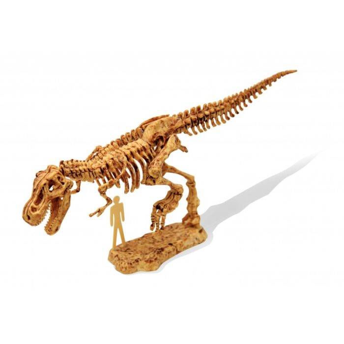 Archeologo rinkinys T- REX ,,Išsikask dinozaurą du kartus''. - Image 4