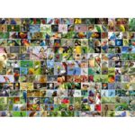 Dėlionė Gražiausi pasaulio paukščiai 4000 - Image 2
