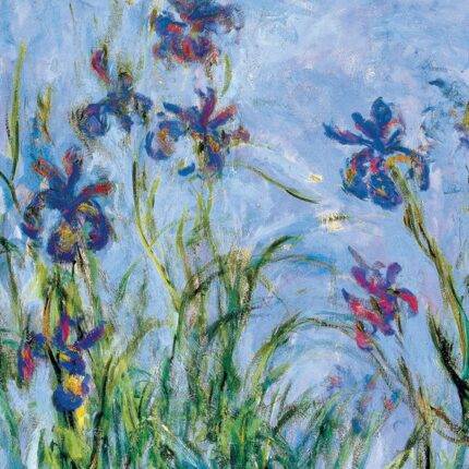 Dėlionė Irisai Claude Monet 1000 detalių