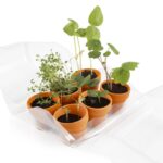 Mokyklinis auginimo rinkinys "Mini šiltnamis augalams" 36 vnt.