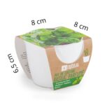 Rinkinys auginimui BIO Bazilikas Grand Vert 8 cm - Image 4