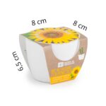 Rinkinys auginimui BIO "Saulėgrąža" 8 cm - Image 3