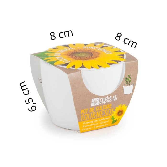 Rinkinys auginimui BIO "Saulėgrąža" 8 cm - Image 3