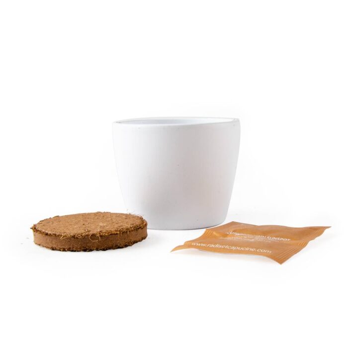 Rinkinys auginimui BIO "Saulėgrąža" 8 cm - Image 5