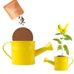 Rinkinys auginimui "Mini laistytuvas Saulėgrąža" - Image 4