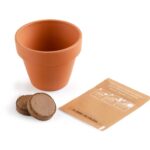 Rinkinys auginimui "Kalėdinė eglutė- pušelė midi" - Image 4