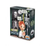 Žmogaus skeletas