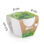 Rinkinys auginimui BIO Bazilikas Grand Vert 8 cm - Image 7