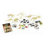 Rinkinys tyrinėjimui Dinozaurų staigmenų dėžutė - Image 2