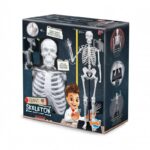 Konstruktorius Didelis žmogaus skeletas 85cm
