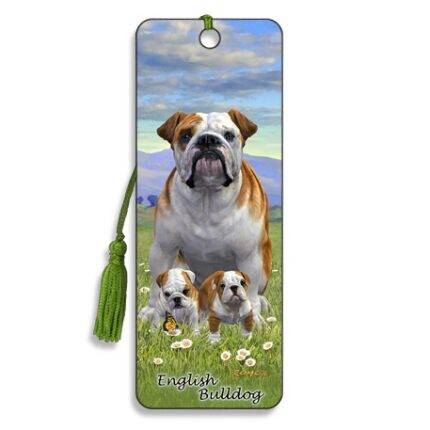 3D skirtukas Anglų buldogas (English Bulldog)