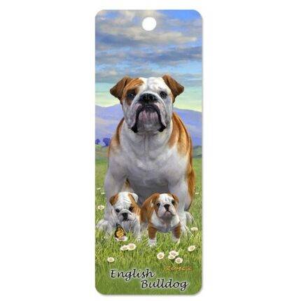 3D skirtukas Anglų buldogas (English Bulldog)