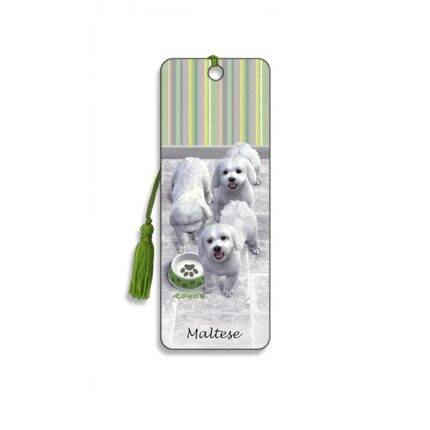 3D skirtukas Maltos bišonas (Maltese)