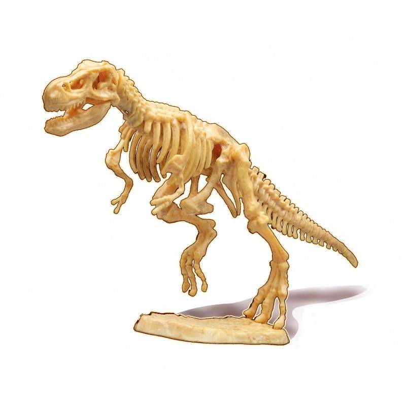 Iškask T-Rex griaučius