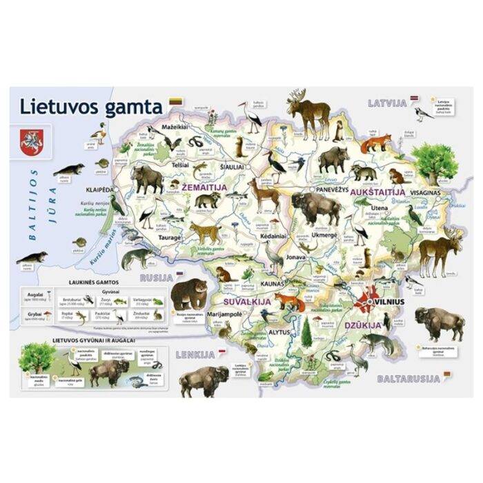 Dėlionė Lietuvos gamta-žemėlapis 100