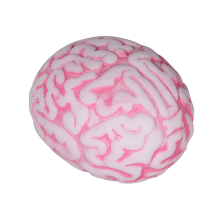 4029811353965 1 Antistresinis žaislas Smegenys 9cm