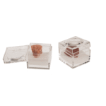 Mineraliniai akmenys dėžutėje su didinamuoju stiklu