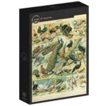 Dėlionė Paukščiai. Nouveau Larousse XIXa. piešinys. 1000