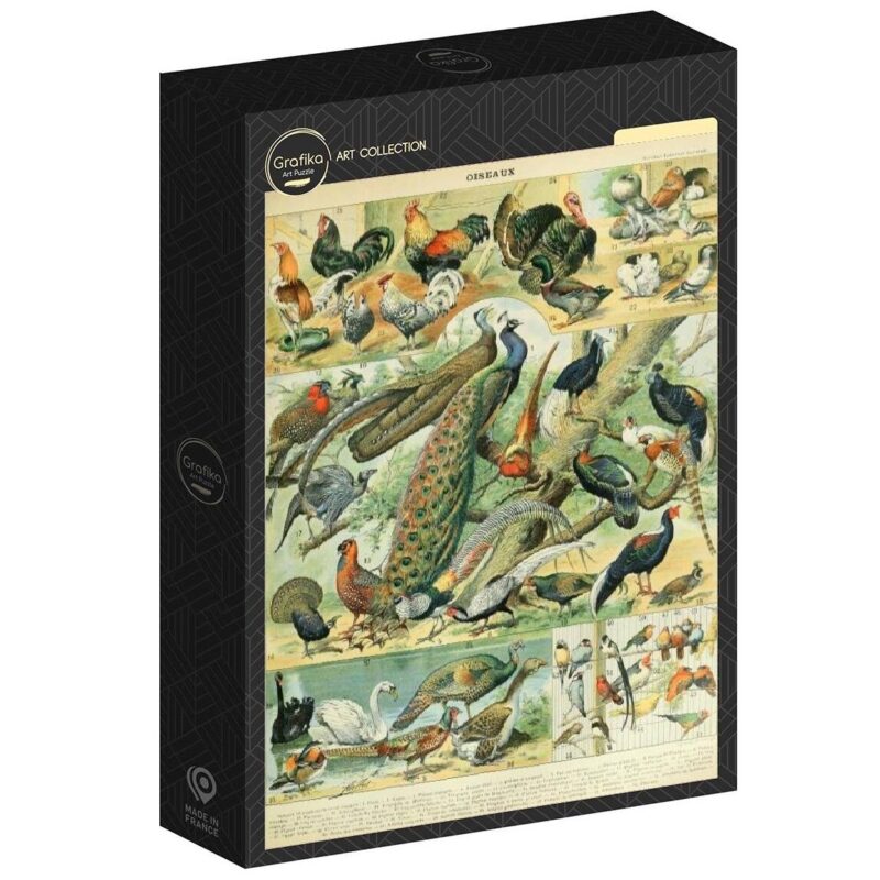 Dėlionė Paukščiai. Nouveau Larousse XIXa. piešinys. 1000