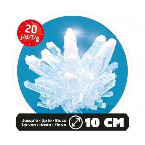 Maksi kristalų auginimas kibirėlyje 10cm