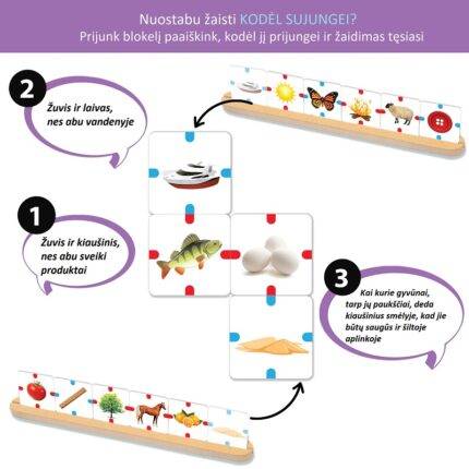 Stalo žaidimas Kodėl sujungei? (Why Connect?) 2-4 žaidėjai