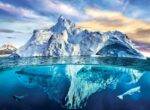 Dėlionė Saugokime planetą Arktika 1000 detalių